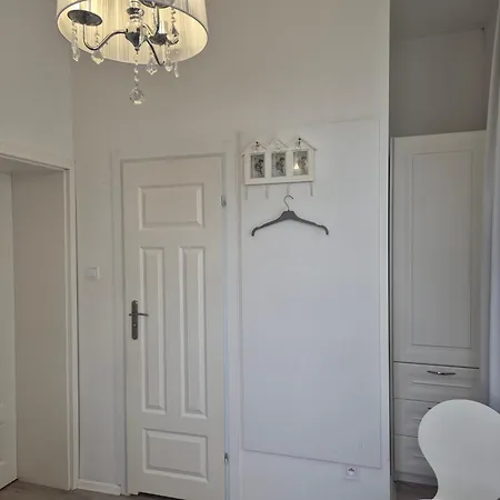 Viator 홈스테이 *